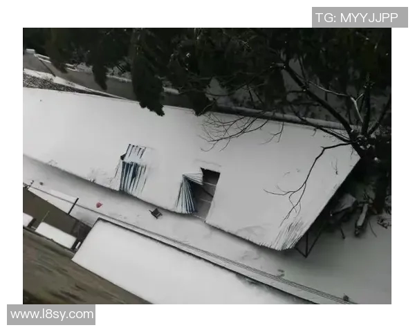 罗马罕见雪灾，古城居民如何智慧应对严寒？