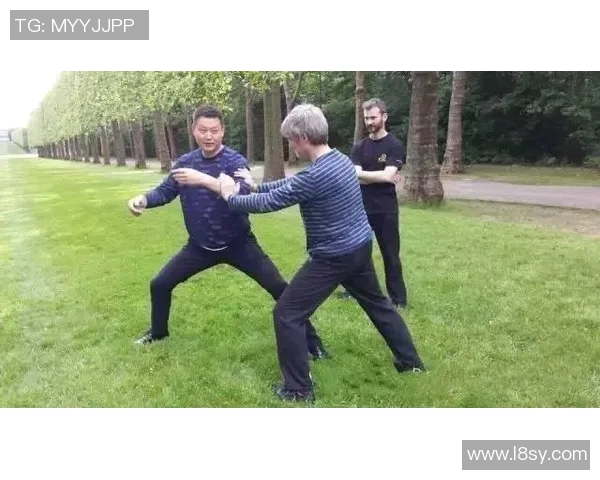 深入浅出24式太极拳分解教学全解析助你轻松掌握太极精髓