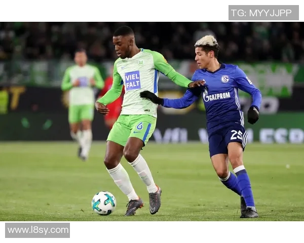 沙尔克04主场险胜德甲积分榜变化引发关注 沙尔克04主场险胜德甲积分榜变化引发关注